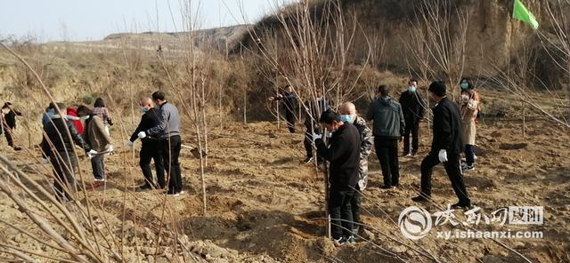 乾县文化和旅游局积极参加全县春季义务植树活动